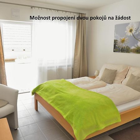 טאבור Penzion A Restaurace Pintovka מראה חיצוני תמונה
